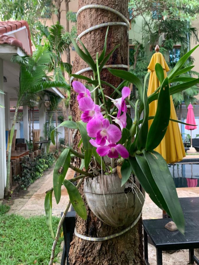 Angkor Magic Tree Boutique Siem Reap Exterior foto