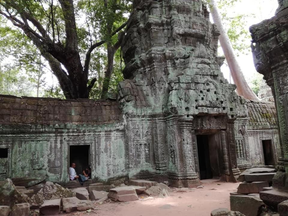 Angkor Magic Tree Boutique Siem Reap Exterior foto