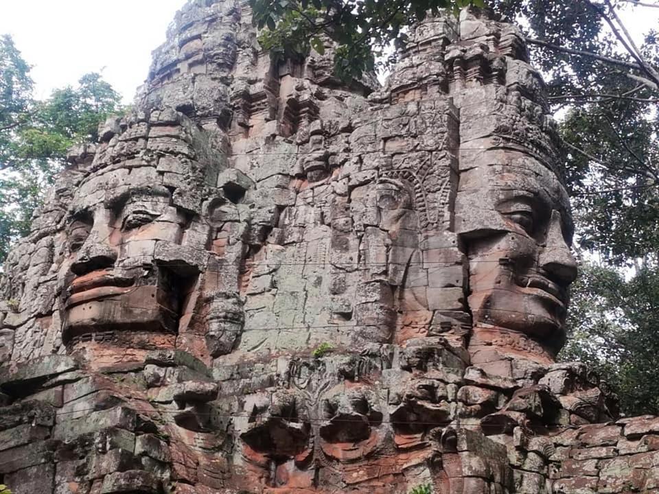 Angkor Magic Tree Boutique Siem Reap Exterior foto