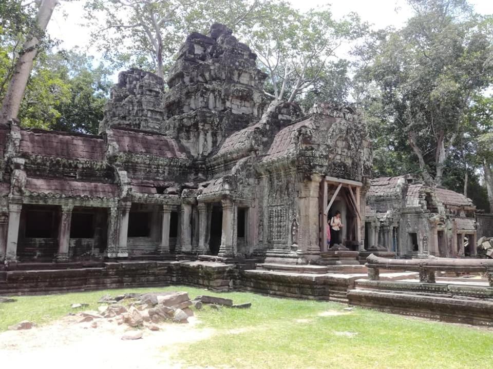 Angkor Magic Tree Boutique Siem Reap Exterior foto